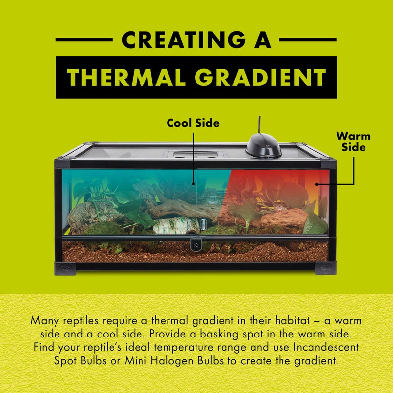 Zilla Incandescent Bulb, Night Red, Ideal for Nocturnal Reptile Species - Image 5